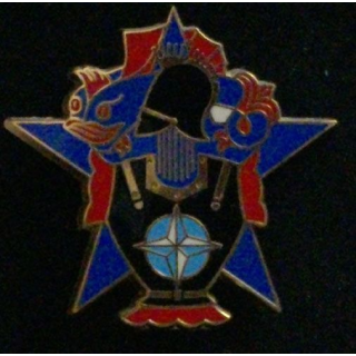 4° RG : 4° RÉGIMENT DU GÉNIE KOSOVO N°237
