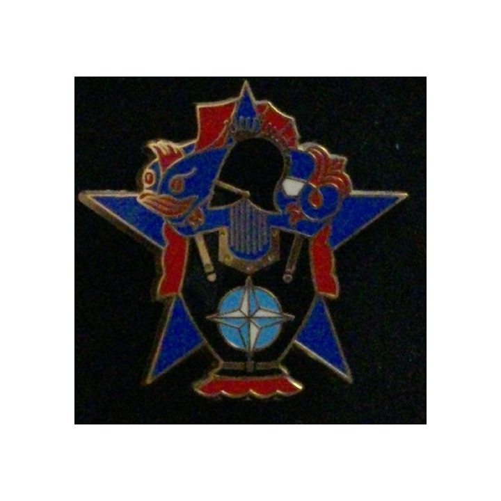4° RG : 4° RÉGIMENT DU GÉNIE KOSOVO N°237