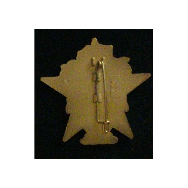 4° RG : 4° RÉGIMENT DU GÉNIE KOSOVO N°237