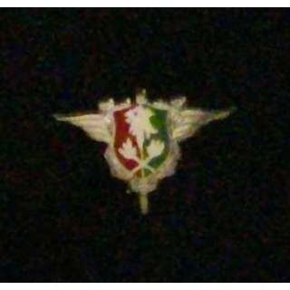 PIN'S INSIGNE MINIATURE DU SERVICE DES ESSENCES