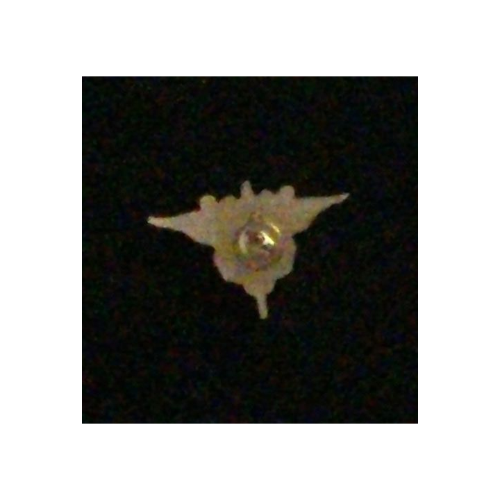 PIN'S INSIGNE MINIATURE DU SERVICE DES ESSENCES