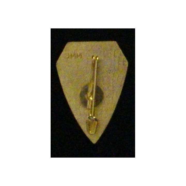13° RG : 13° RÉGIMENT DU GÉNIE 1° COMPAGNIE