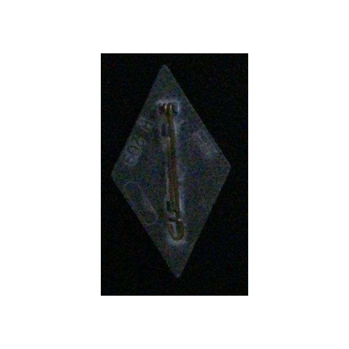 1° RG : 1° RÉGIMENT DU GÉNIE (DELSART 209)