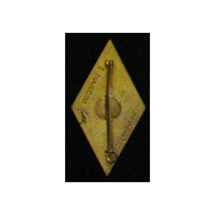 1° RG : 1° RÉGIMENT DU GÉNIE (MARDINI)