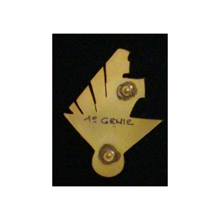 1° RG : 1° RÉGIMENT DU GÉNIE NIHIL OBSTAT 6 (RHINOCEROS)