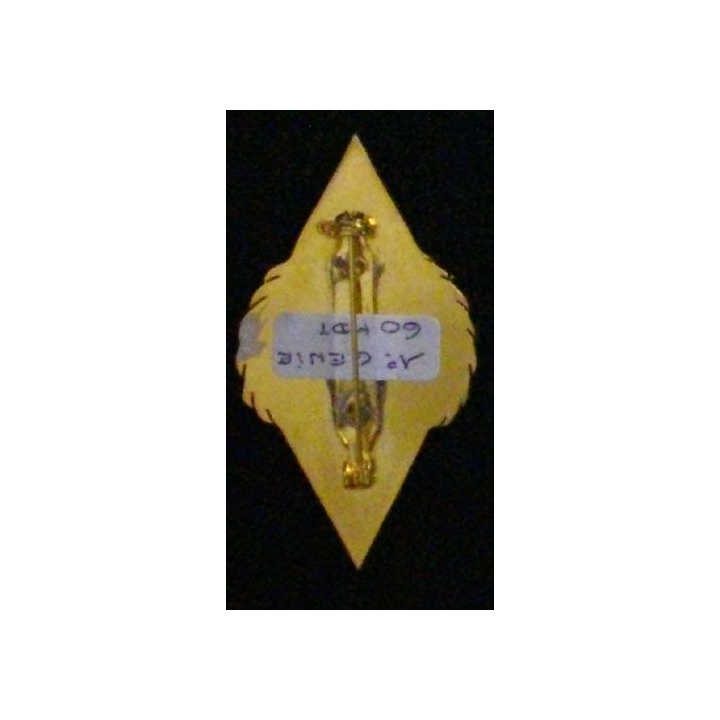 1° RG : 1° RÉGIMENT DU GÉNIE 420°DIM 60° MANDAT