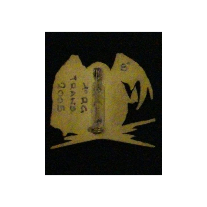 1° RG : 1°RÉGIMENT DU GÉNIE SECTION TRANSMISSIONS 2005