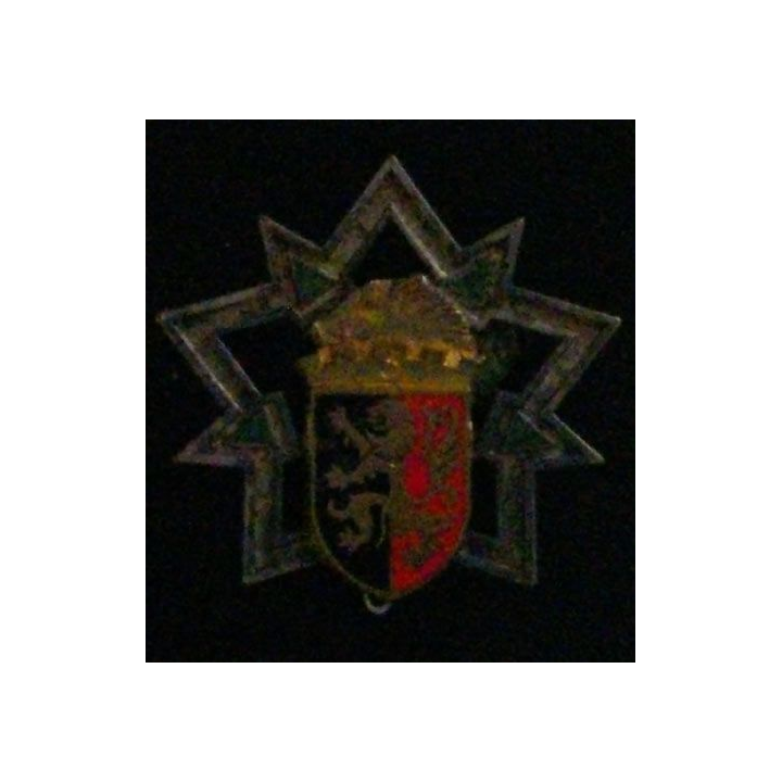 3° RG : 3° RÉGIMENT DU GÉNIE (SANS) HURE PLATE