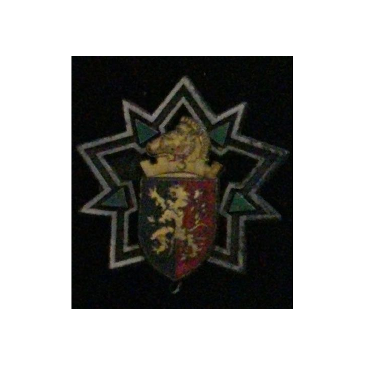 3° RG : 3° RÉGIMENT DU GÉNIE (DELSART 586)