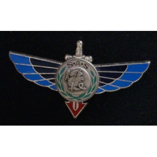 1° RPIMA : 1° RÉGIMENT PARA D'INF DE MARINE RAPAS CENTRE ARGENTÉ