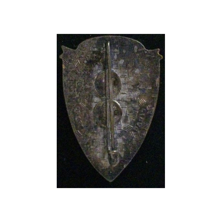 9° RG : 9° RÉGIMENT DU GÉNIE (BANDEAU DORÉ DRAGO 999) ÉMAIL