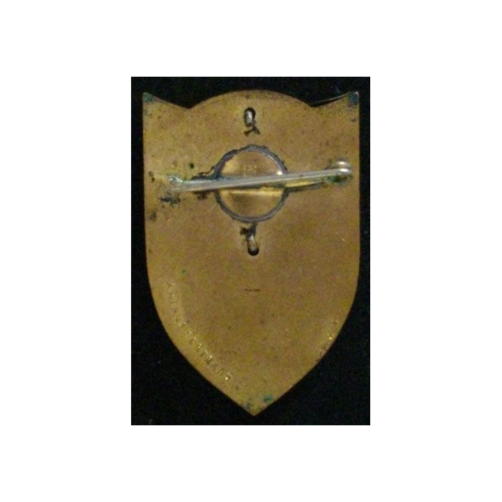 5° RG : 5° RÉGIMENT DU GÉNIE (2 PIÈCES ABP ) ÉMAIL BOUT ATT CASSÉE