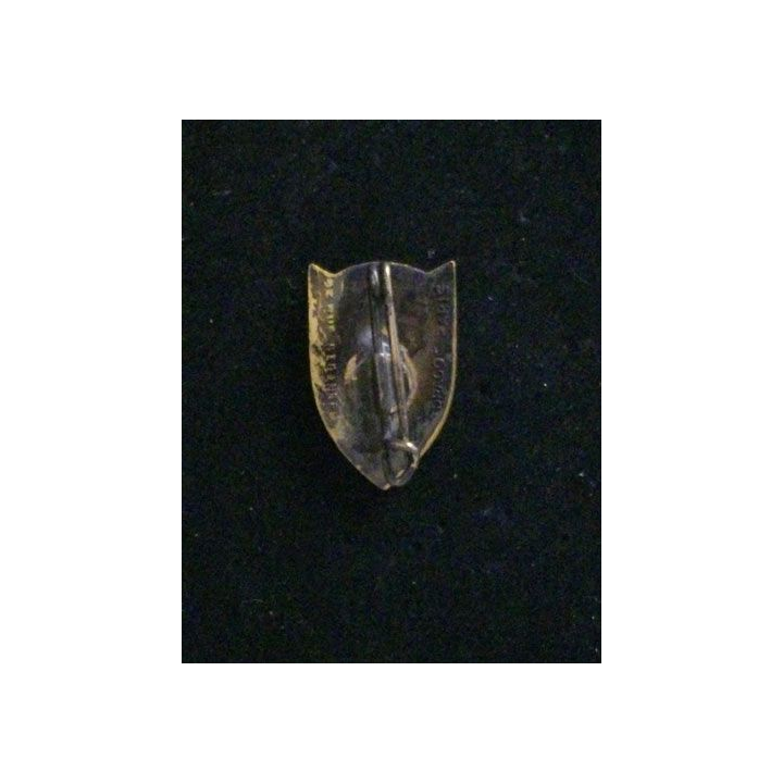 5° RG : 5° RÉGIMENT DU GÉNIE MINIATURE (DBER 2,3 cm) ÉMAIL