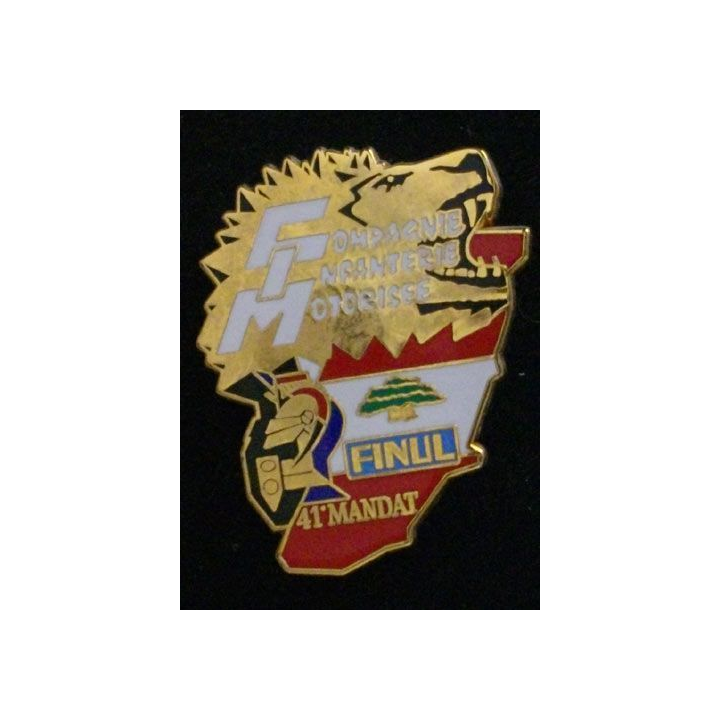 5° RG : 5° RÉGIMENT DU GÉNIE FINUL CIM 41°MANDAT (ABP) N°172