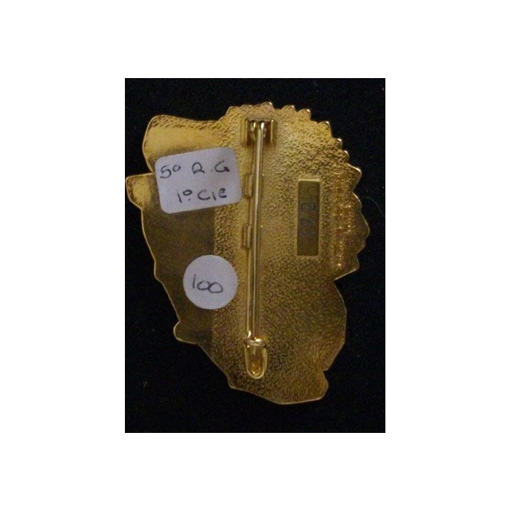 5° RG : 5° RÉGIMENT DU GÉNIE FINUL CIM 41°MANDAT (ABP) N°172