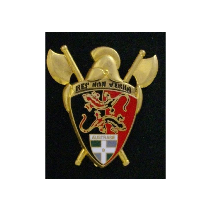 8° RI : 8° RÉGIMENT D'INFANTERIE COMPAGNIE GÉNIE 2 HACHES