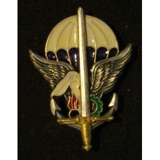 1°RTP : 1°RÉGIMENT DU TRAIN PARA ESCADRON CDT & LOGISTIQUE