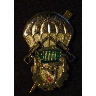 14° RPCS : 14° RÉGIMENT PARA DE CDT ET SOUTIEN GPT INSTRUCTION