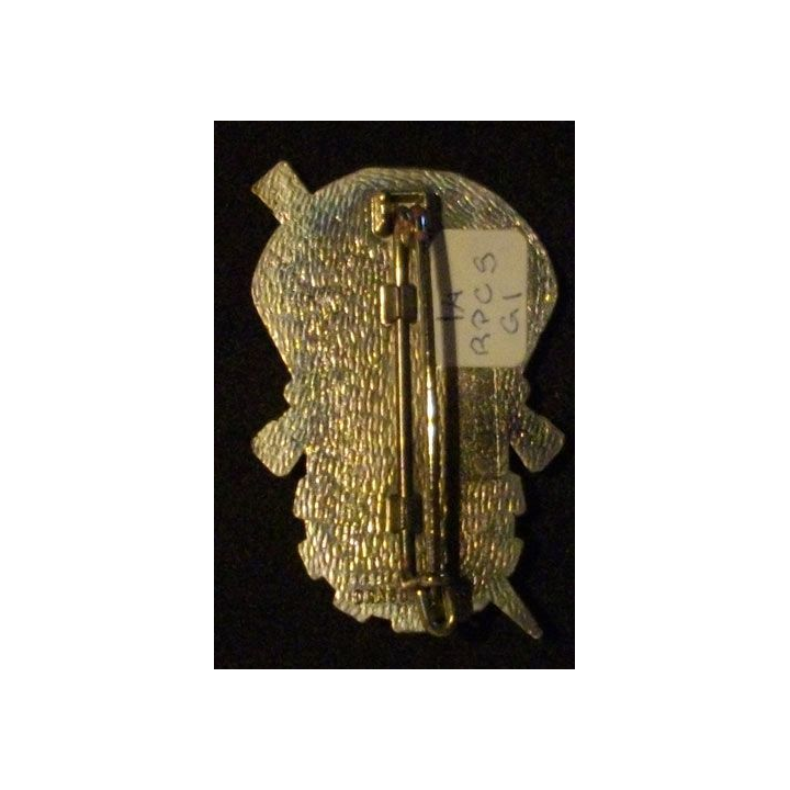 14° RPCS : 14° RÉGIMENT PARA DE CDT ET SOUTIEN GPT INSTRUCTION