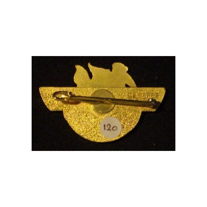 1° RPIMA : 1° RÉGIMENT PARA D'INF DE MARINE CRAP EN ÉMAIL