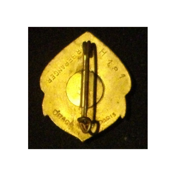 RMT : RÉGIMENT DE MARCHE DU TCHAD (D BER 181) CHAMEAU RELIEF