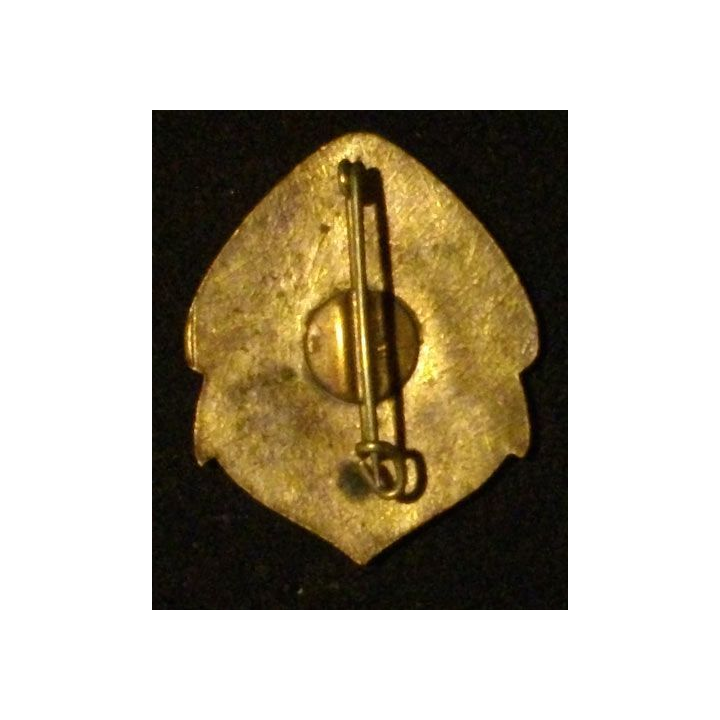 RMT : RÉGIMENT DE MARCHE DU TCHAD (POINÇON AB) GD MODÈLE PLAT (191)