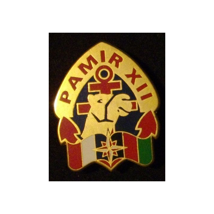 RMT : RÉGIMENT DE MARCHE DU TCHAD PAMIR XII