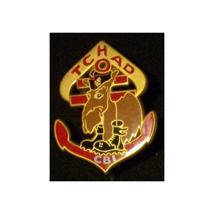 RMT : RÉGIMENT DE MARCHE DU TCHAD CIE BASE & INSTRUCTION (ABP)