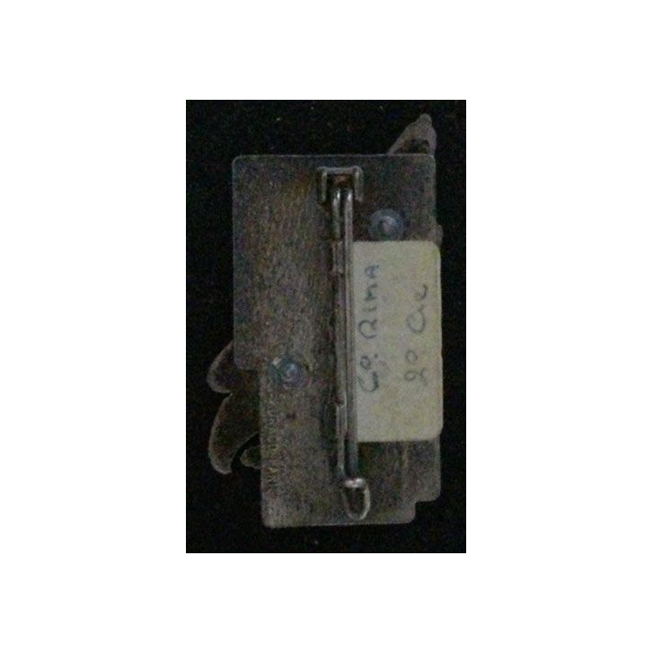 6° RPIMA : 6° RÉGIMENT PARA D'INF DE MARINE 2° CIE MONTAGNE 6°RPIMA