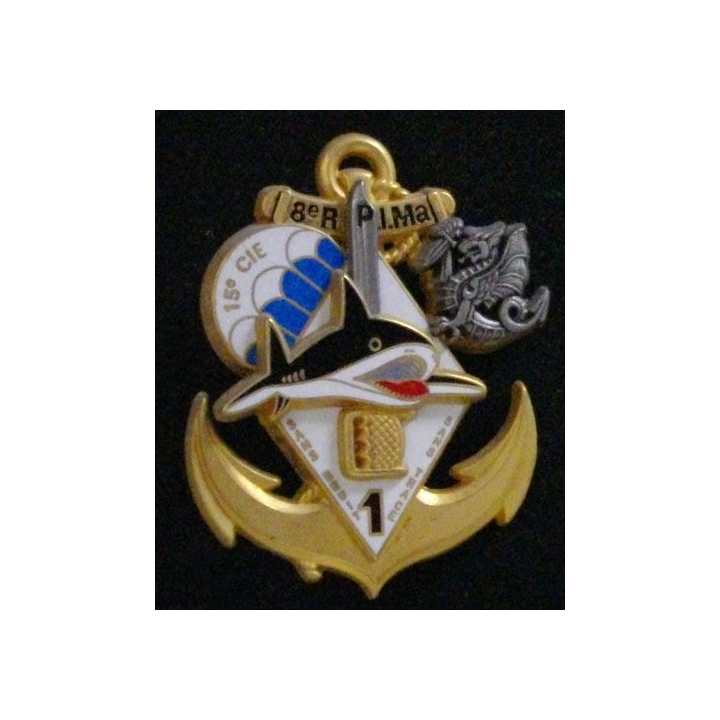 8° RPIMA : 8° RÉGIMENT PARA D'INFANTERIE MARINE 1°CIE 15°CIE (INDO
