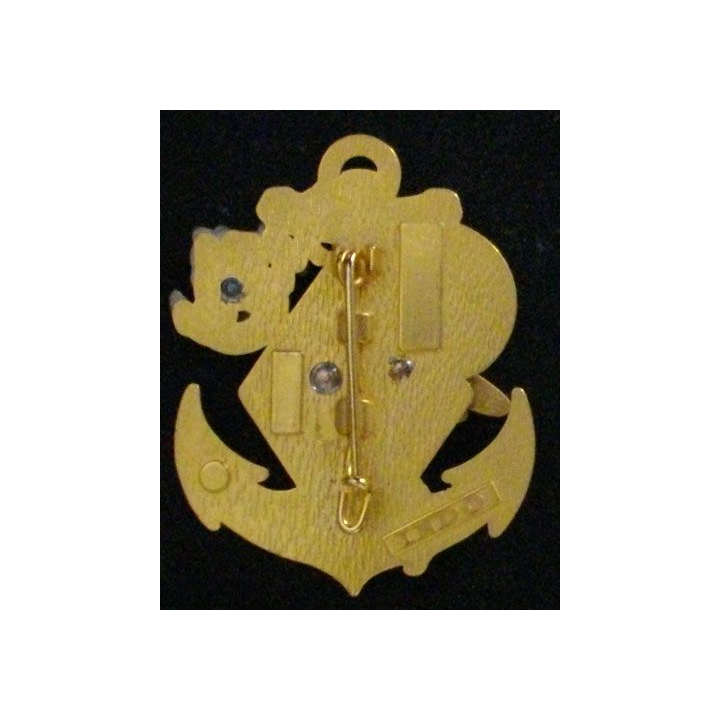 8° RPIMA : 8° RÉGIMENT PARA D'INFANTERIE MARINE 1°CIE 15°CIE (INDO