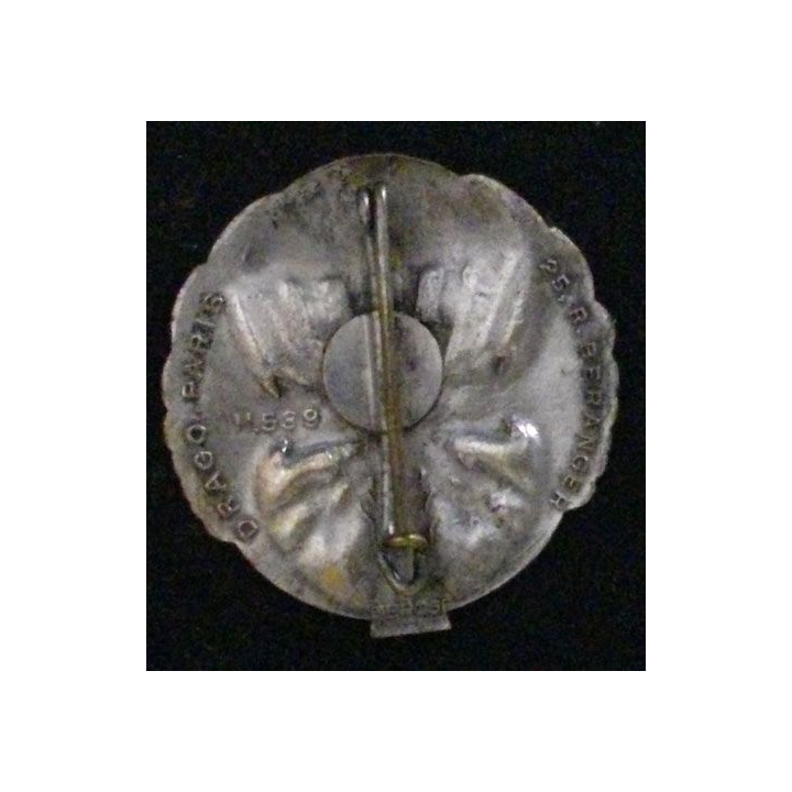 25° DP : 25° DIVISION PARACHUTISTE COMPAGNIE DE TRANS ÉMAIL