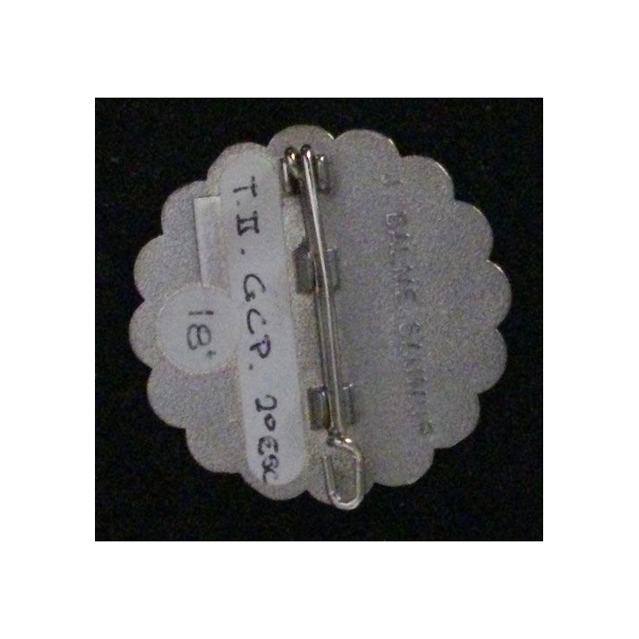 1° RHP : 1° RÉGIMENT DE HUSSARDS PARA 2° ESC ÉTOILES BLEUES TYPE 2
