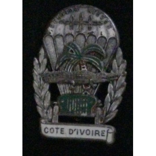 1° RHP : 1° RÉGIMENT HUSSARDS PARA PELOTON KIEGER COTE D'IVOIRE