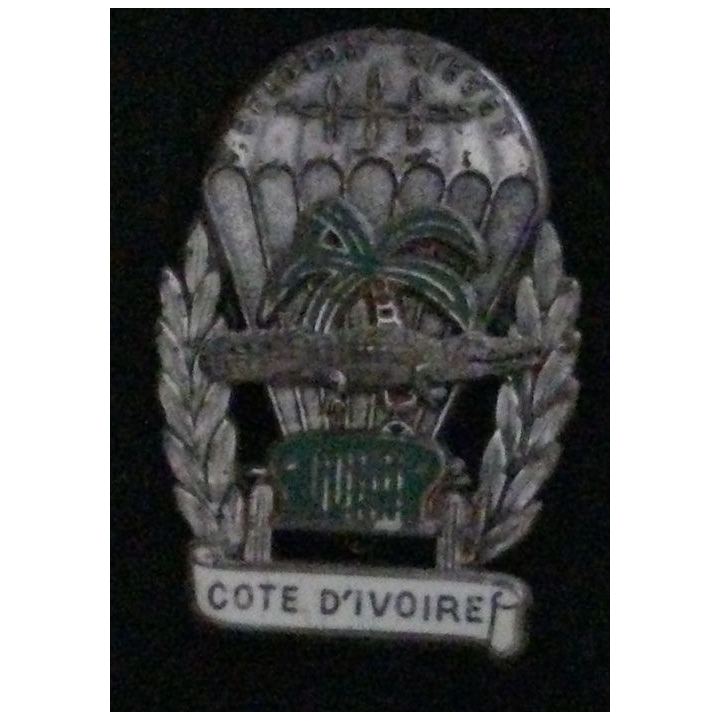1° RHP : 1° RÉGIMENT HUSSARDS PARA PELOTON KIEGER COTE D'IVOIRE