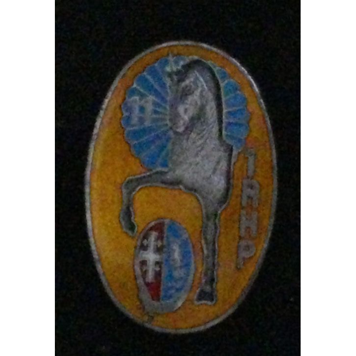 1°RHP : 1°RÉGIMENT DE HUSSARDS PARACHUTISTE 11°ESC OVALE ÉMAIL