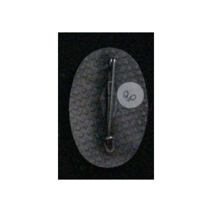 1°RHP : 1°RÉGIMENT DE HUSSARDS PARACHUTISTE 11°ESC OVALE ÉMAIL