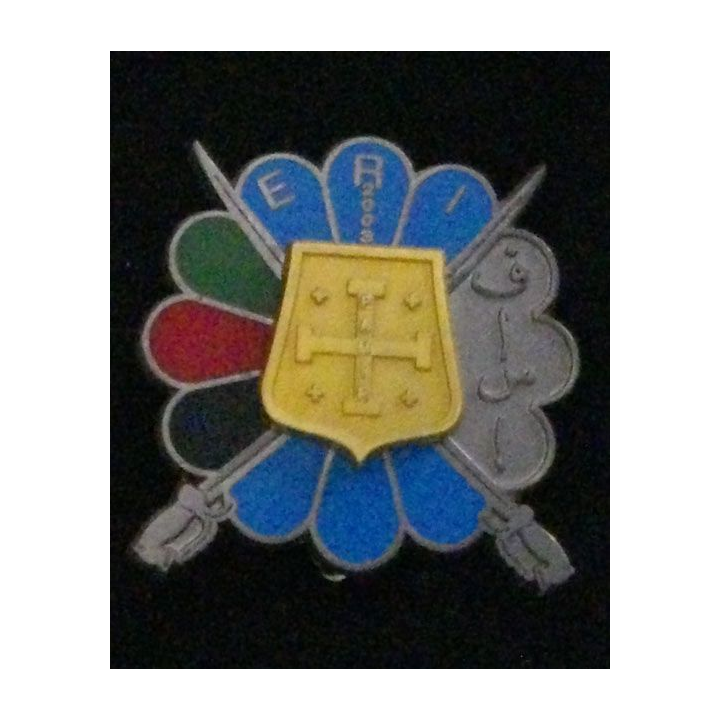1° RHP : 1° RÉGIMENT DE HUSSARDS PARA 4°ESC ERI PAMIR 2003 N°098