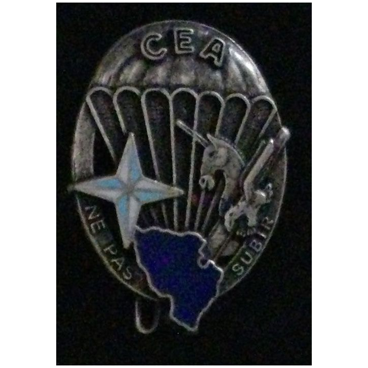 1° RCP : 1° RÉGIMENT DE CHASSEURS PARA CEA BOSNIE 4° MANDT N°104