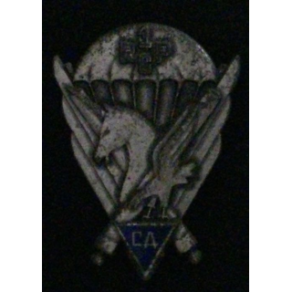 1° RCP : compagnie d'appui du 1° régiment de chasseurs parachutistes