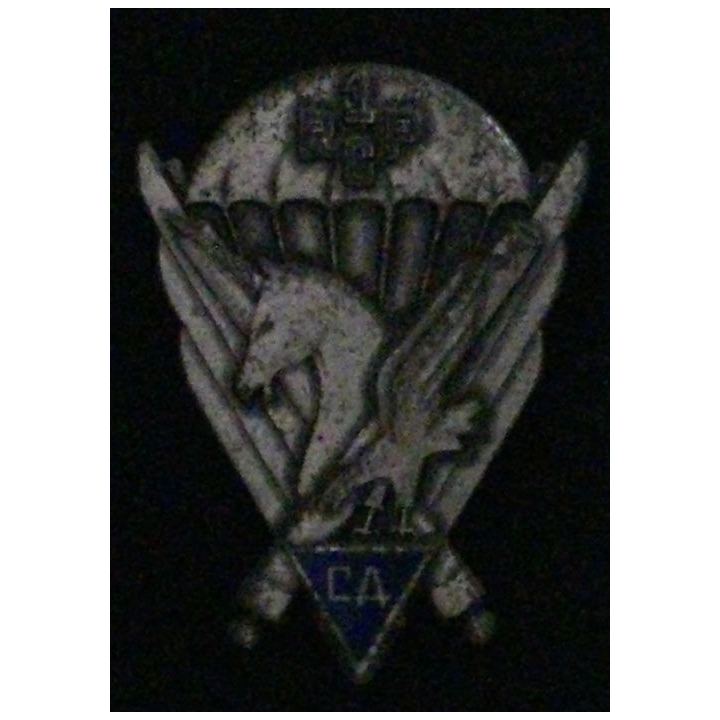 1° RCP : compagnie d'appui du 1° régiment de chasseurs parachutistes