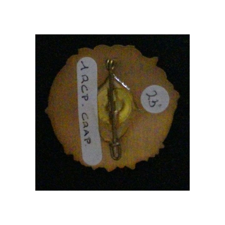1° RCP : 1° RÉGIMENT DE CHASSEURS PARACHUTISTES CRAP GCP