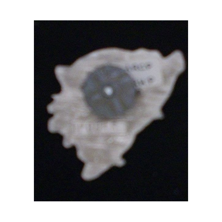 1° RCP : 1° RÉGIMENT DE CHASSEURS PARA SFOR BAT FRA 4 N°0056