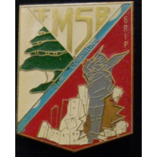 9°RCP : 9°RÉGIMENT DE CHASSEURS PARACHUTISTE 6°RIP 2°CIE