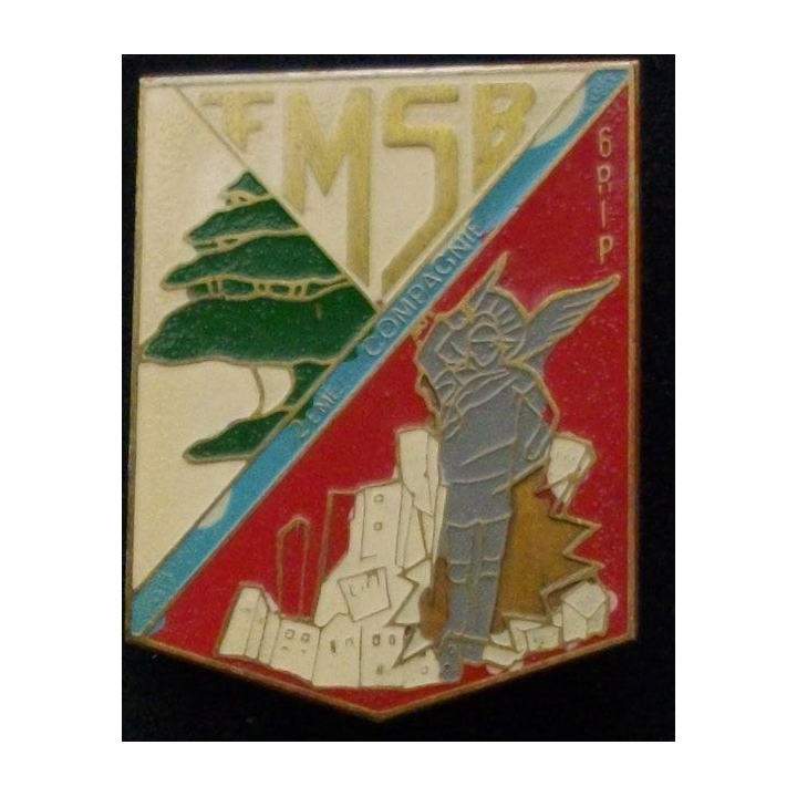 9°RCP : 9°RÉGIMENT DE CHASSEURS PARACHUTISTE 6°RIP 2°CIE