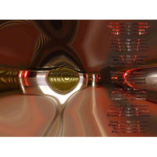 image originale créée par ordinateur dont le titre est graine de photon (40 x 30 cm)