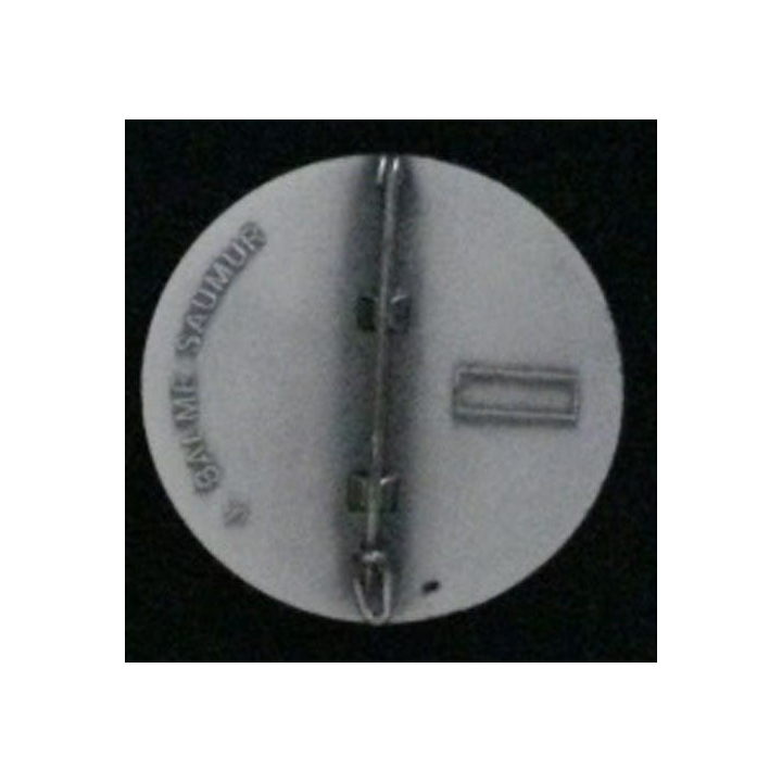 3°RPIMA 3° RPIMA 3° RÉG PARA D'INF DE MARINE 1° CIE DISCRET ET EFFICACE