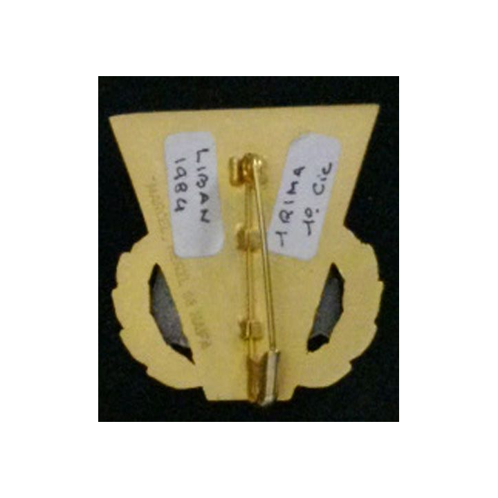 1°RIMA : 1°RÉGIMENT D'INFANTERIE DE MARINE 1°CIE LIBAN 84 (HERZL