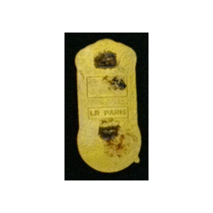 1° RCP : 1° RÉGIMENT DE CHASSEURS PARACHUTISTES ÉMAIL 2°CIE (LR)