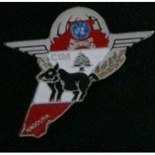 35°RAP : 35°RÉGIMENT D'ARTILLERIE PARA CIM 420°DIM NAQOURA